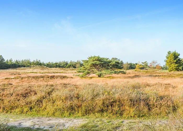 Kaerhogen Denm